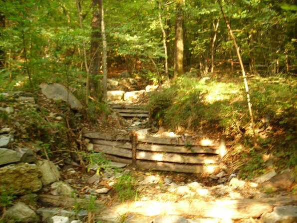 20110916_093447_DSCI0023