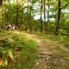 20110916_093457_DSCI0024