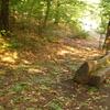 20110916_095108_DSCI0026