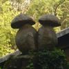 20110916_095148_DSCI0028