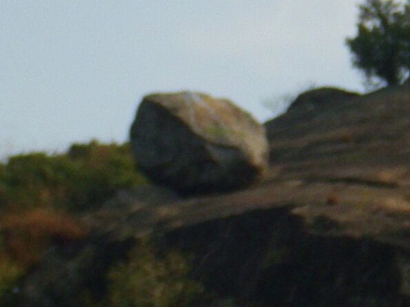 20110916_095700_DSCI0030