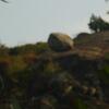 20110916_095727_DSCI0032