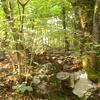 20110916_100217_DSCI0035