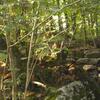 20110916_100230_DSCI0036