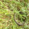 20110916_140123_DSCI0045
