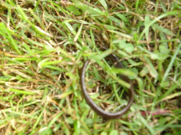 20110916_140123_DSCI0045