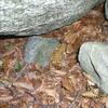 20110924_173804_P1040097