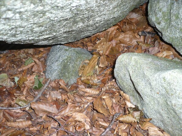 20110924_173804_P1040097