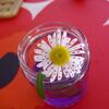 20111013_120325_DSCI0052