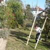 20111016_160104_P1040123