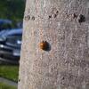 20111030_163259_DSCI0074