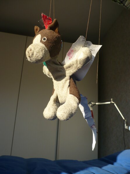 20111204_151938_P1040214