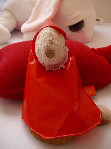 20111213_141923_DSCI0110