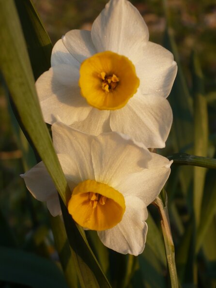 20120220_173507_P1040523