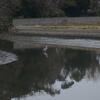 20120221_150912_P1040547