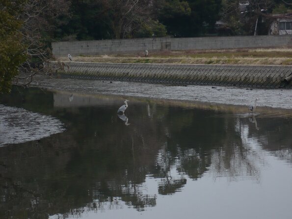 20120221_150912_P1040547