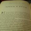 20120412_114913_DSCI0037