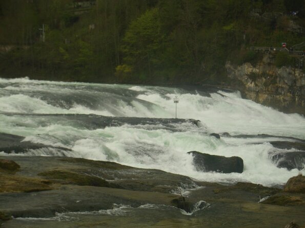 20120412_130817_DSCI0044