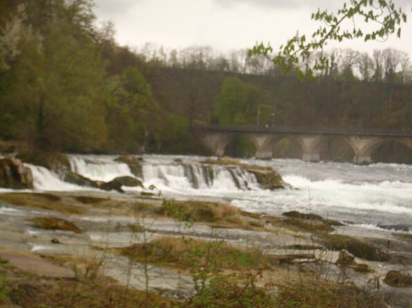 20120412_131453_DSCI0047