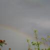 20120421_174147_DSCI0094