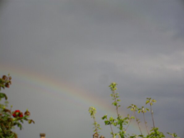 20120421_174147_DSCI0094