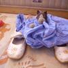 20120429_112739_DSCI0163