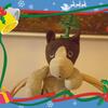 20120604_193914_DSCI0279