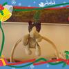 20120604_194058_DSCI0281
