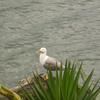 20120609_111044_DSCI0286