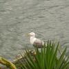 20120609_111049_DSCI0287