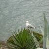 20120609_111137_P1040680