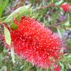 20120609_111701_DSCI0289