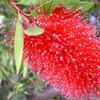 20120609_111720_DSCI0290