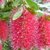20120609_111743_P1040682