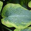 20120609_112004_DSCI0291