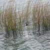 20120609_112319_DSCI0295
