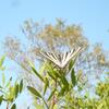 20120802_191008_P1040790