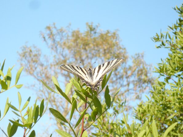 20120802_191008_P1040790