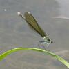 20120806_132842_P1040869