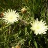 20120818_103020_P1040894
