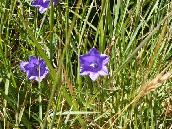20120818_110843_P1040898