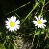 20120818_112643_P1040901