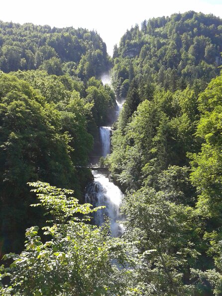 2013-06-30 11.51.21