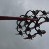 20130622_122711_P1050283