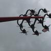 20130622_122719_P1050284