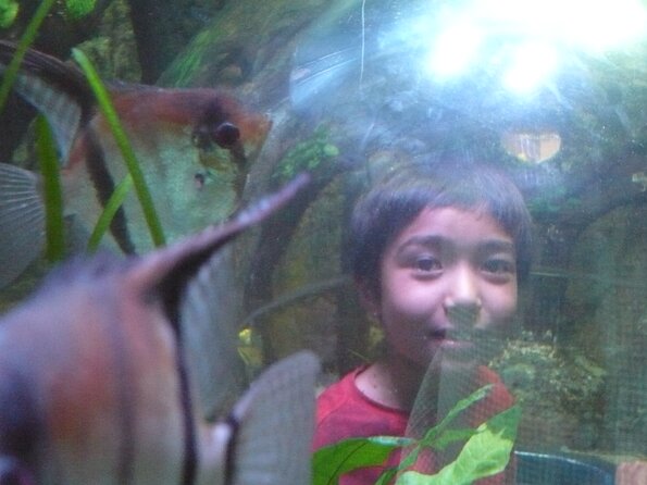 20130622_161019_P1050306