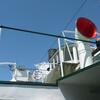 20130630_120709_P1050392