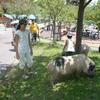 20130707_044041_P1050499