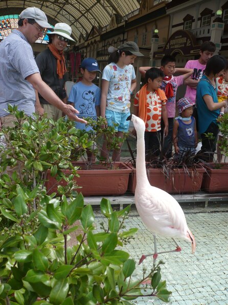 20130716_034602_P1050596