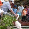 20130716_034607_P1050597